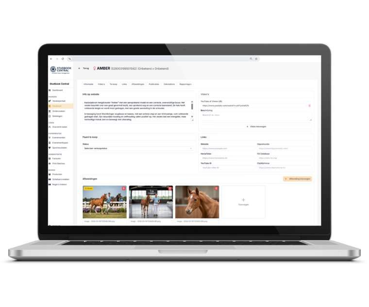 Beelden en tekst delen met één druk op de knop
